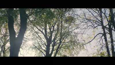 If I had known then - Black Cake