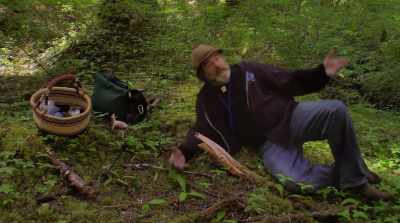 If I was laying down
on the ground and I died, - Fantastic Fungi