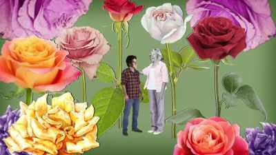 If I had not met
Roadway Flowers, - The Lady and the Dale