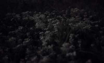 If I had really laid
something under the grass - Geographies of Solitude