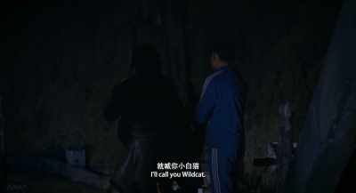 If I see you again, I'll call you Wildcat. - Long Day's Journey into Night