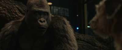 If I had that,
I could free Ruby from her cage. - The One and Only Ivan