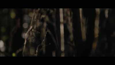 If I were to estimate - Sasquatch