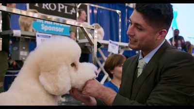 If I were to win any placement, really, - Dogs