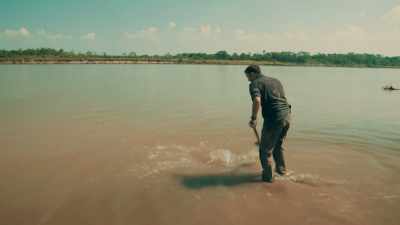 IF I TREAD ON
A STEALTHY STINGRAY, - Expedition Mungo