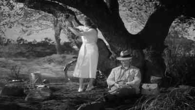 If I were you,
I'd open it. - Random Harvest