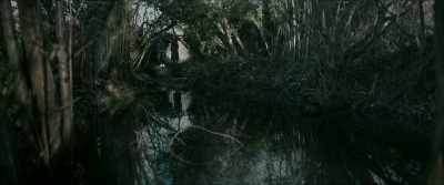 If I'd known what
was going on inside his head, - Matriarch
