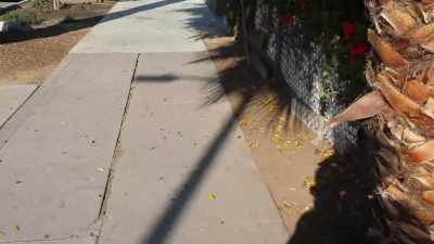 If I'm banned more or less
from the property... - Murder Death Koreatown