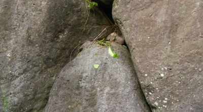 ‐ If this is
a tunnel entrance, - Lost Gold of World War II