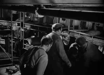 If this is your idea of a joke... - The Long Voyage Home