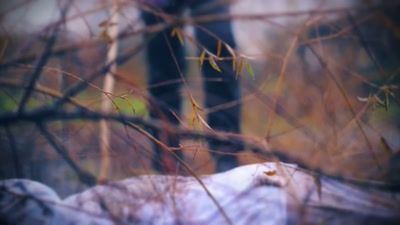 If this is Sasha's body, - How I Caught My Killer