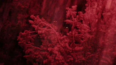 If it was an animal,
predator or otherwise, - Beyond Skinwalker Ranch