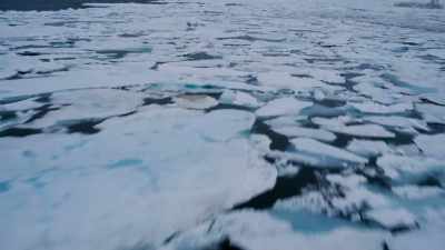 IF IT GOES AWAY, THAT'S
GOING TO CHANGE CURRENTS, - Before the Flood