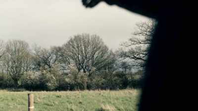 If it were two shots,
I would have ignored it, - The Essex Murders