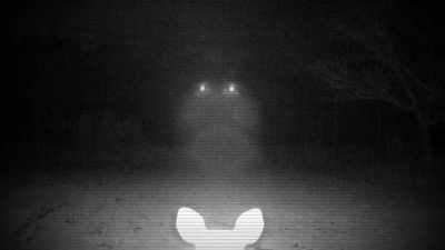 IF IT'S NIGHTTIME, THEN THE
IMAGE WILL BE ILLUMINATED - Strange Evidence
