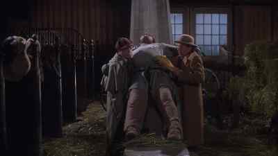 "If jock could talk,
he'd give you a clue." - The Private Eyes
