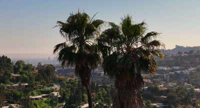 If you know that you came
from Indiana or wherever - Bad Actor: A Hollywood Ponzi Scheme