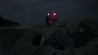 If Len was going to
save these turtles - Blue Planet II