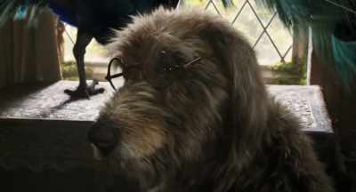 If you let humans too close,
you'll get hurt - Dolittle