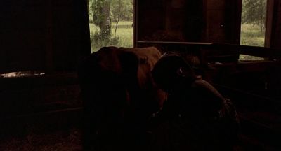 If living was a thing that money could buy - The Beguiled