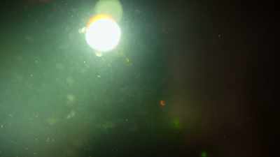 If you look around,
most creatures that live down here - Welcome to Earth