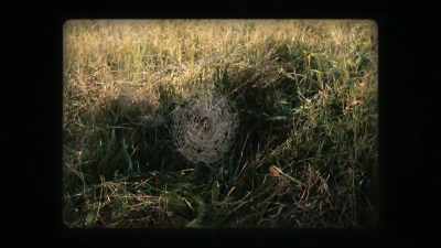 If you look at nature,
nothing is unnecessary. - A Brief History of the Future