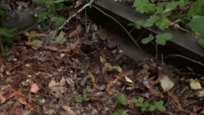 If you look at this,
something flat with a pad - Expedition Bigfoot