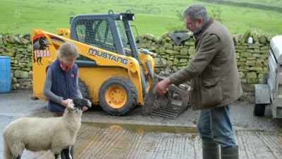 If you look down at his feet now,
just ease him backwards - Our Yorkshire Farm