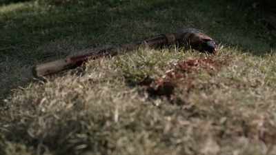 If you match a stone that
has an edge with a stick, - Origins: The Journey of Humankind