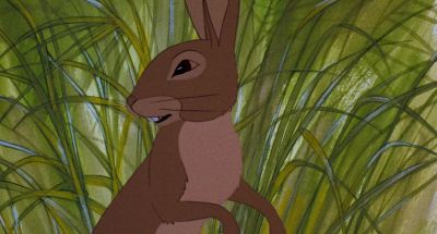 If we meet again - Watership Down