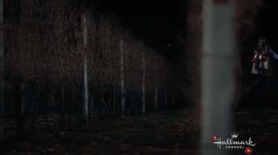 If you need a flashlight, - Valentine in the Vineyard