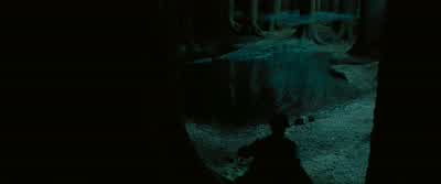If not, the consequences are too ghastly to discuss. - Harry Potter and the Prisoner of Azkaban