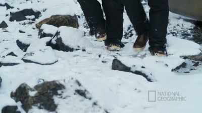If not, we'll just, whoa, - Life Below Zero: First Alaskans