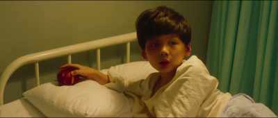 If our house is burnt down,
where will we go? - Master Z: Ip Man Legacy