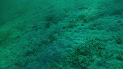If you pass out underwater,
even only ten feet under, - Stories of a Generation - with Pope Francis