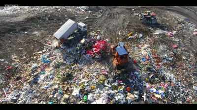 If PCBs are not disposed
of appropriately, - Extinction: The Facts