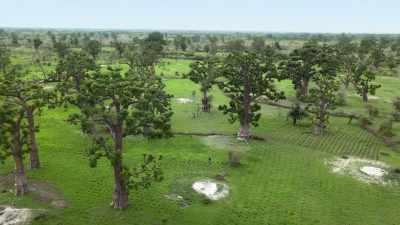 If we plant trees in the fields, - Breaking Boundaries: The Science of Our Planet