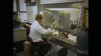 -If you put a gene
into a cell, - Human Nature