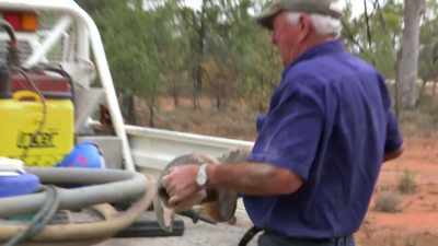 If it rains over days, - Outback Opal Hunters
