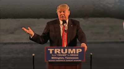 If he ran in Florida
today for an office, - Trump: The Art of the Insult
