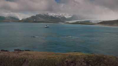 If Shackleton's leadership has
taught us anything, - Shackleton: The Greatest Story of Survival