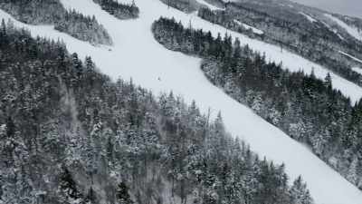 If Sharon Mitchell wants
to make Killington's - Future Retro