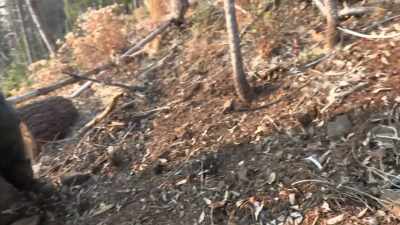 If something grabbed hold
of that rock, - Expedition Bigfoot