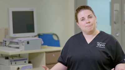 If spoons has
fractured his femur, - Secrets of the Zoo