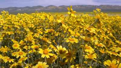 If such transformations become regular, - Our Planet