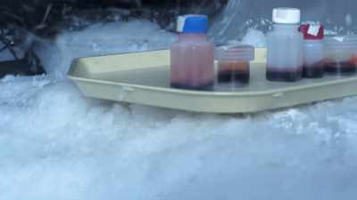 If Svala's accident
wasn't an accident, - Sanctuary