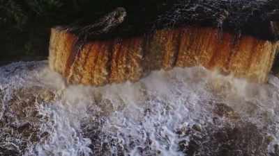 "If that were true," she said, - Ambient Swim
