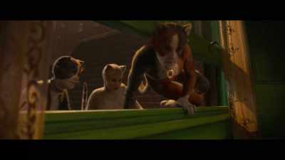 ♪ If the area window is found ajar ♪ - Cats