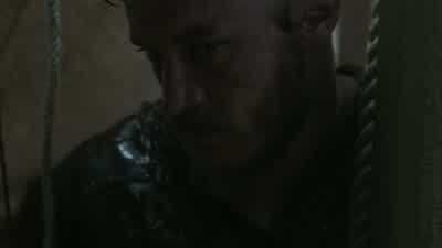 If the birds do not return, there is land. - Vikings