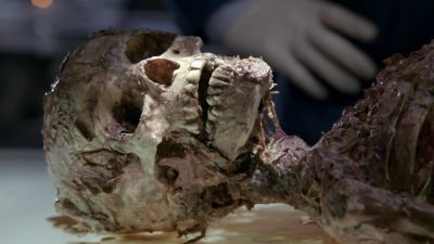If the boy bit her,
there should be some evidence - Bones
